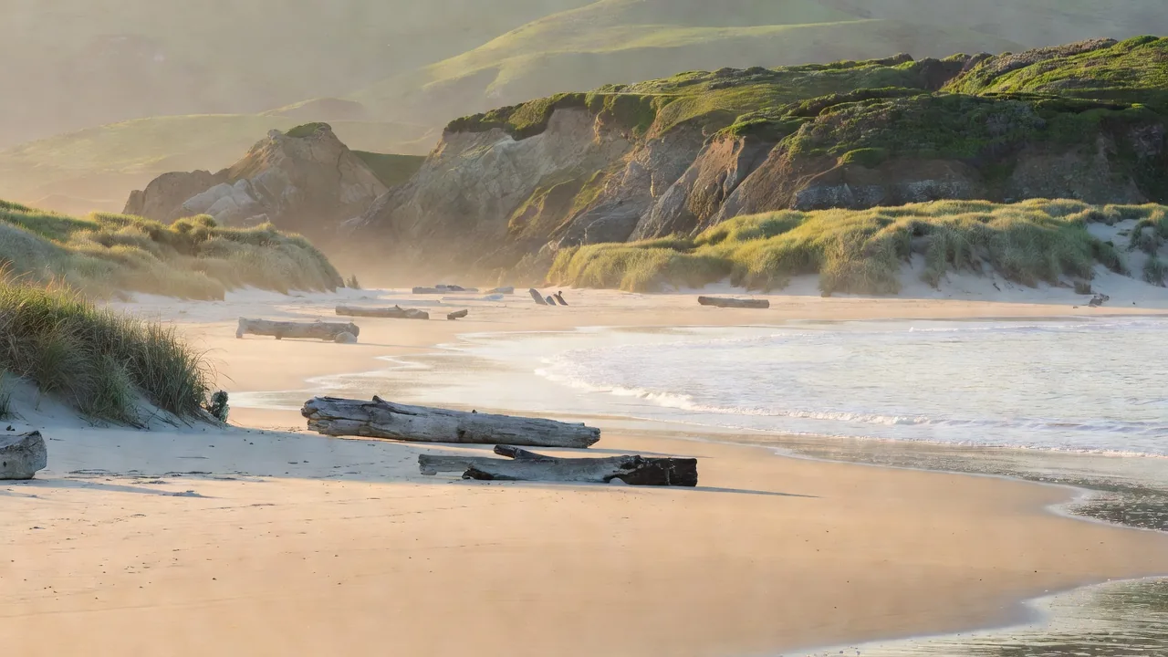 静かな浜辺